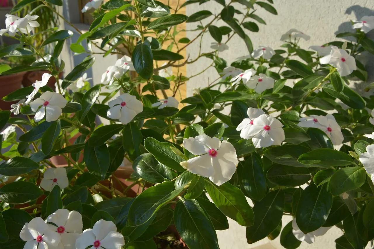 Bed and breakfast B&B Attico 33 Palermo